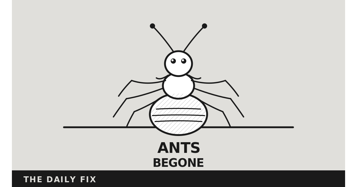 What to Do if You Have Ants in Your Apartment